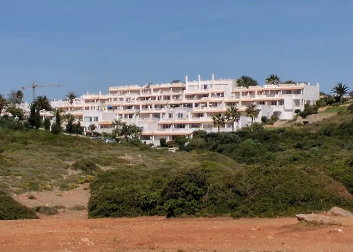 Gaivota Mare Azur
