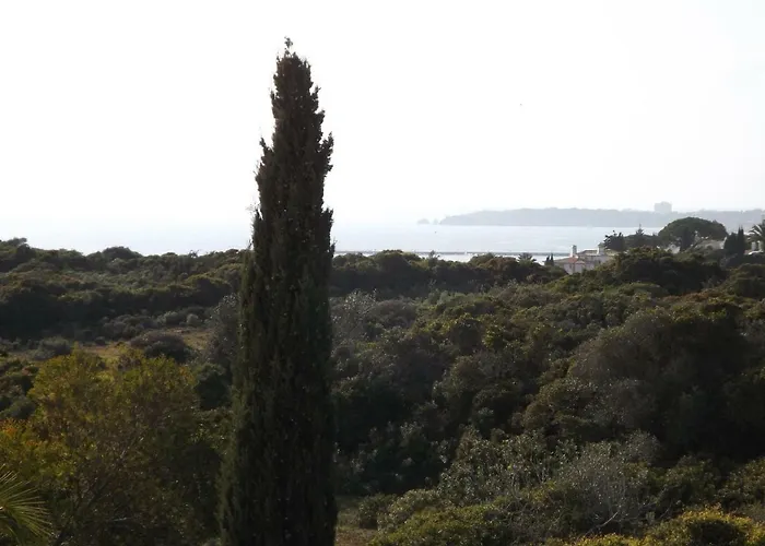 Apartment Gaivota Mare Azur *